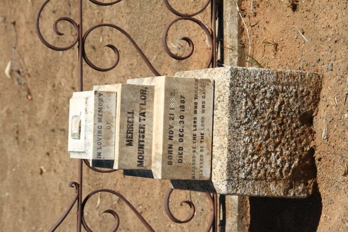 TAYLOR Merrell Mountser 1885-1887