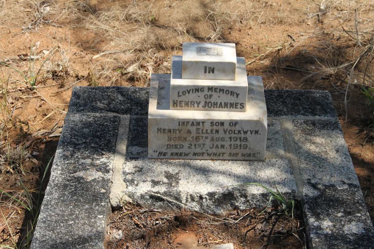 VOLKWYN Henry Johannes 1918-1919