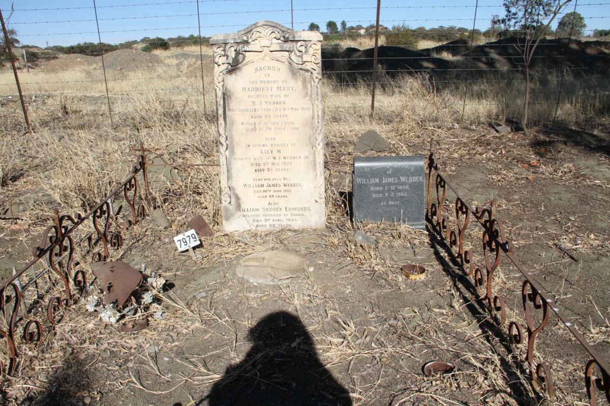 WEBBER William James -1932 :: WEBBER Harriett Mary -1919 :: WEBBER Lily M. -1929 :: 