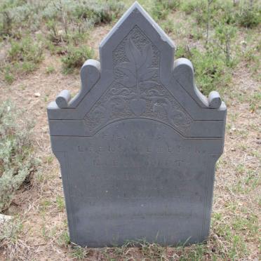 NIEUWOUDT Erens Hendrik 1916-1920