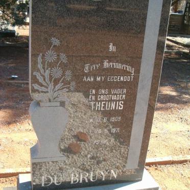 BRUYN Theunis, de 1909-1971