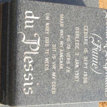 PLESSIS Hendrik Stephanus, du 1936-1987