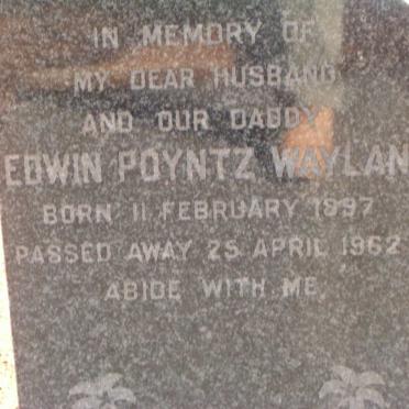 WAYLAND Edwin Poyntz 1897-1962