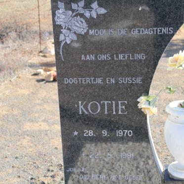 ? Kotie 1970-1981