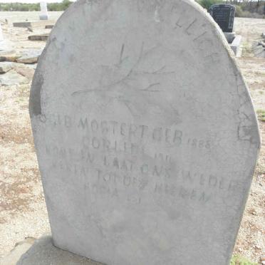 WIELLIGH F.G., von nee MOSTERT 1888-1911