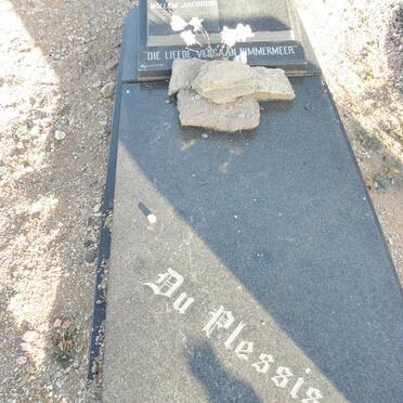 PLESSIS Willem Jacobus, du 1924-1975