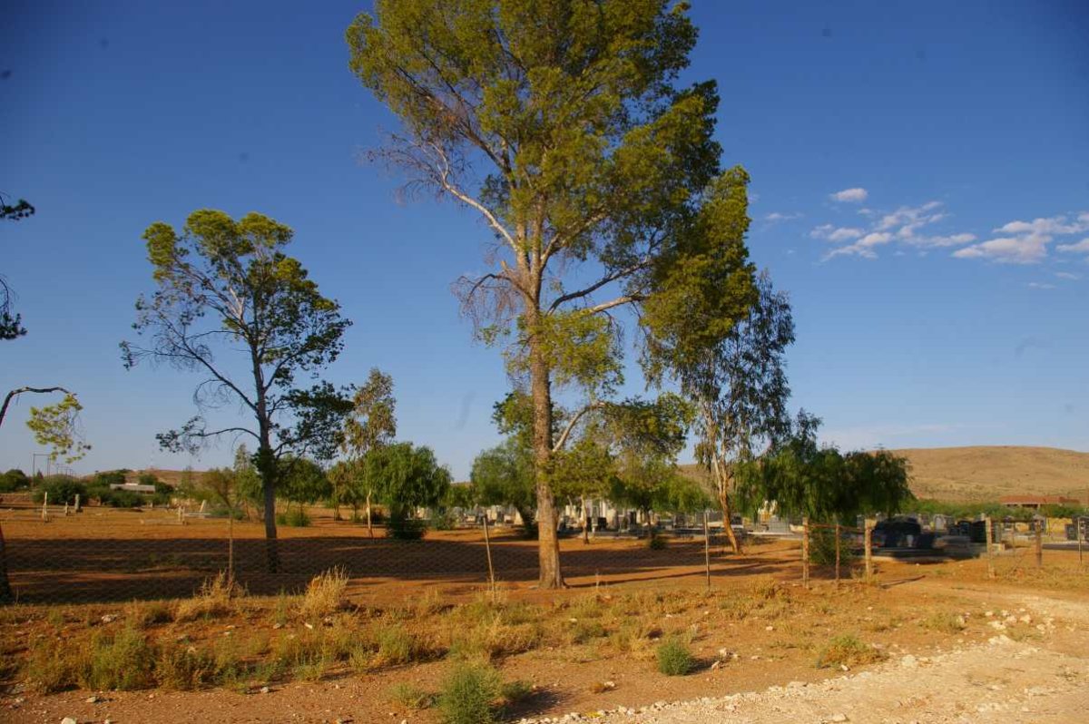 1. Overview / Oorsig