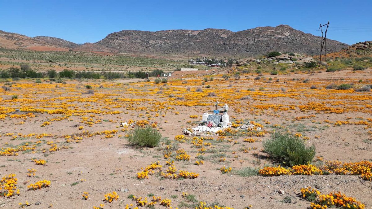 1. Overview / Oorsig