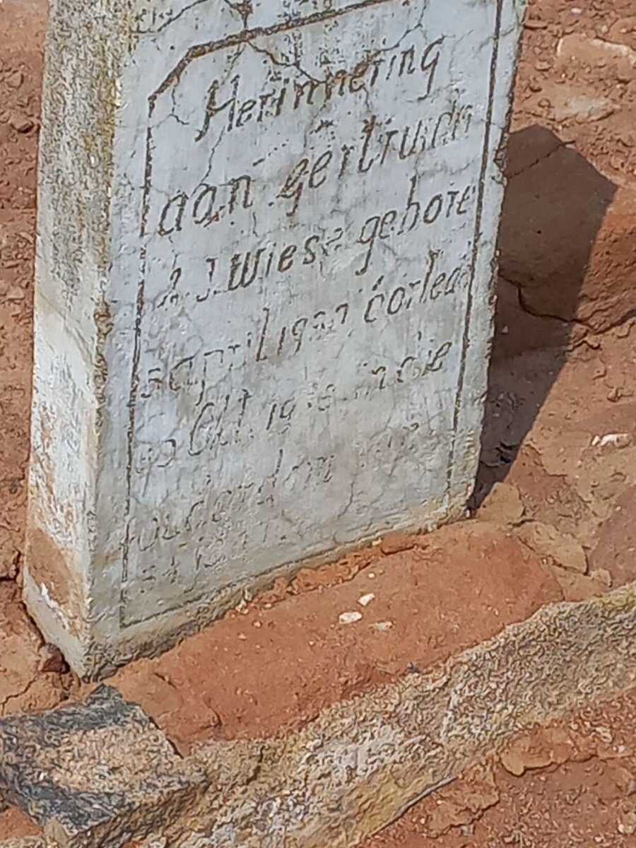 WIESE Gertruida ?. J. 