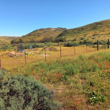 1. Oorsig / Overview