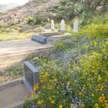 2. Oorsig / Overview