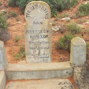 HANEKOM Johannes W.J. 1863-1946