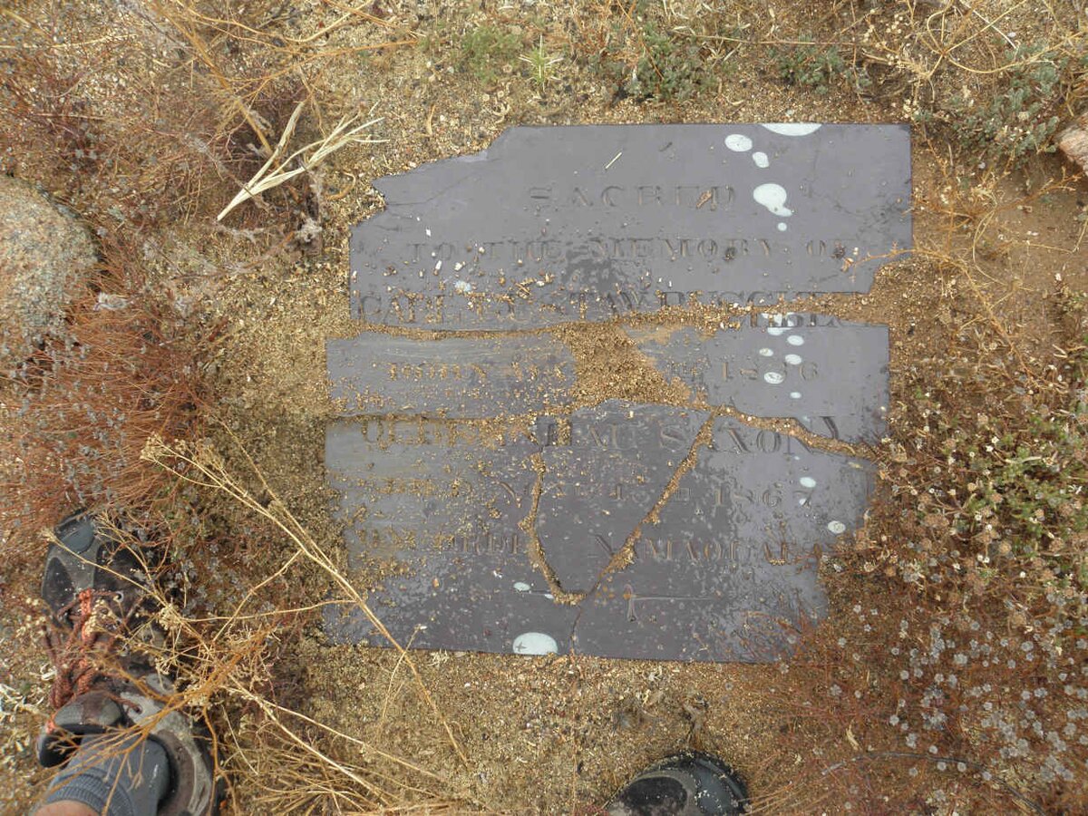 BUSCH? Carl Gustav 1836-1867