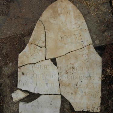 SCHLICHT Wilhelm Albert Carl, von 1877-1877