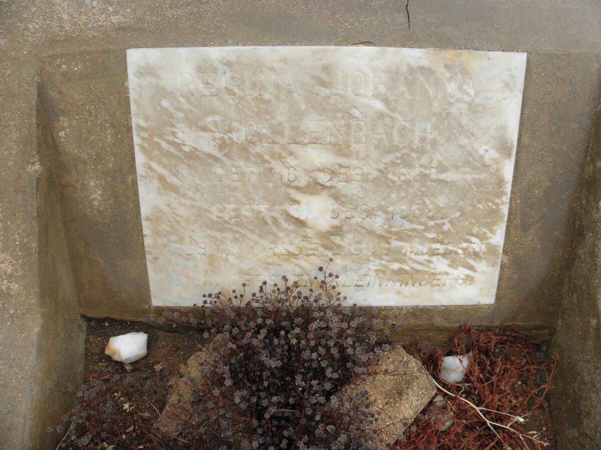 HOLLENBACH Regina Johanna 1886-1958