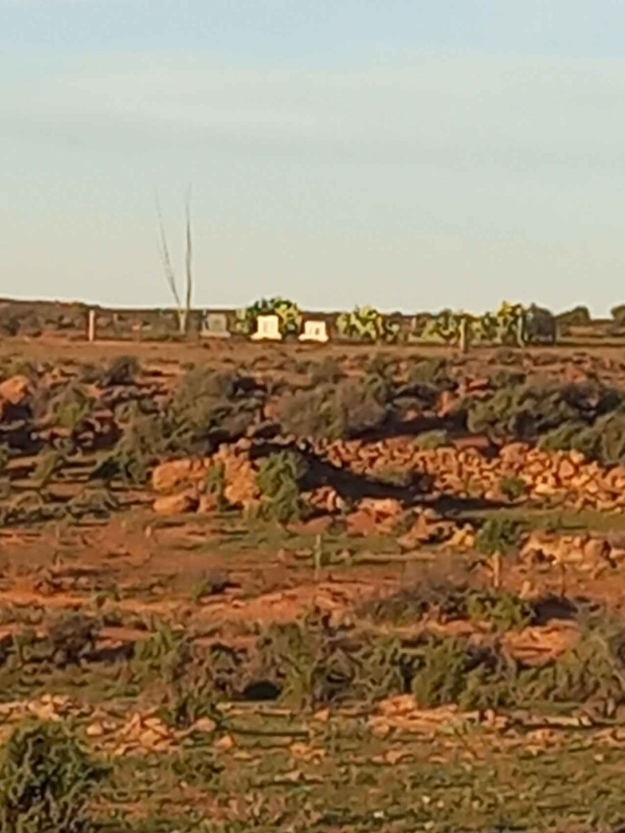 1. Oorsig / Overview