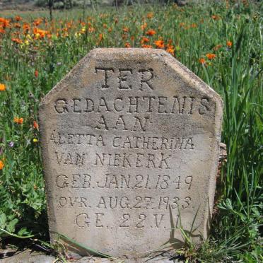 Northern Cape, NAMAQUALAND district, Kamieskroon, Olyven Fontein 450_1, Olienfontein, farm cemetery