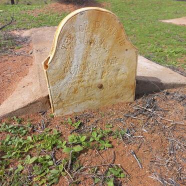 VISSER Gert Johannes 1848-1915