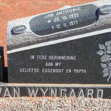 WYNGAARD Jan Anthonie, van 1935-1977