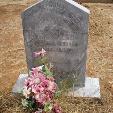 ENGELBRECHT Augus 1924-2003