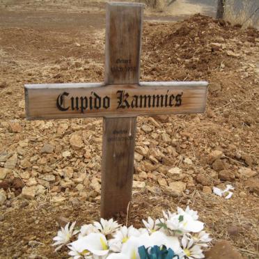 KAMMIES Cupido 1952-2009