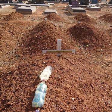 KOTZE Perswill Teslon Rayondo 1994-2017