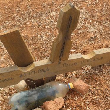 MAARMAN Roos 1946-2003