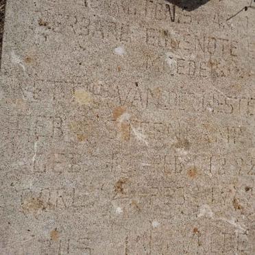 WESTHUIZEN Nettie, van der nee STEENKAMP 1892-19??