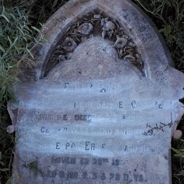 GOODYER Fanny Jane -1897 :: GOODYER George Ernest -1896 :: GOODYER ?  :: GOODYER ?