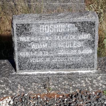 BOSHOFF Adam Hercules 1875-1956