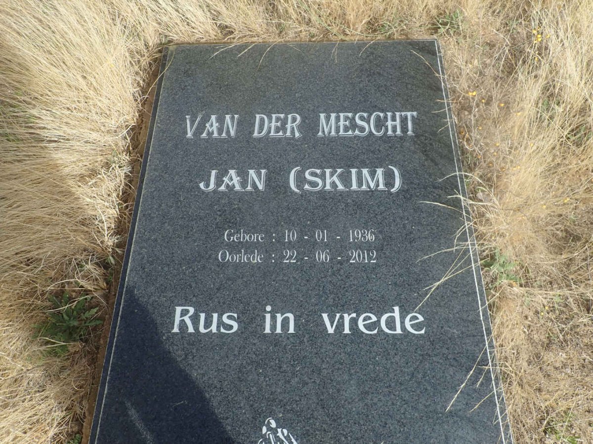 MESCHT Jan, van der 1936-2012