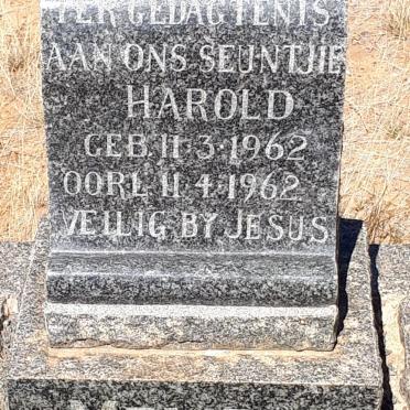 MEYER Harold 1962-1962