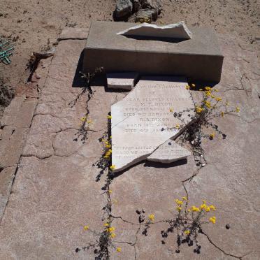 DIXON A.M.P. 1885-18?9 :: DIXON R.A. 1887-18??