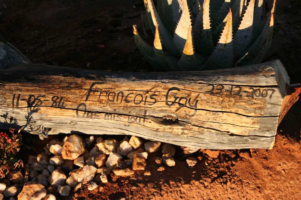 GAY Francois 1984-2007