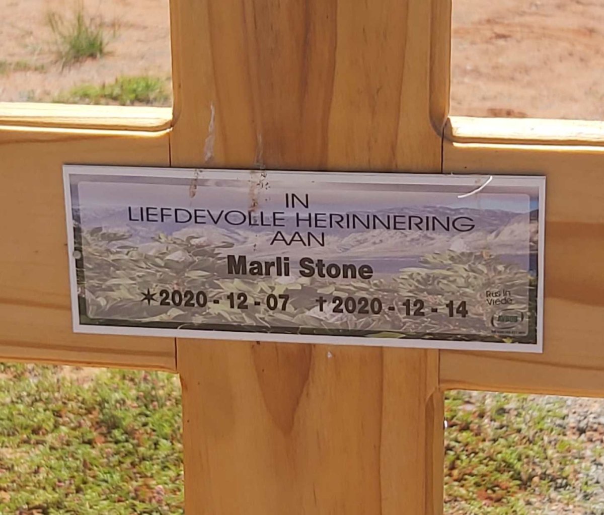 STONE Marli 2020-2020