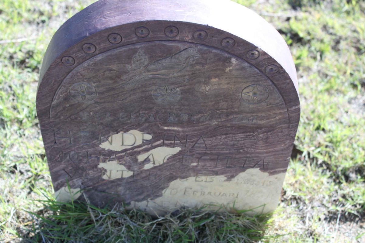 VENTER Hendrina Johanna Cecilia nee DU PLESSIS 18??-19??