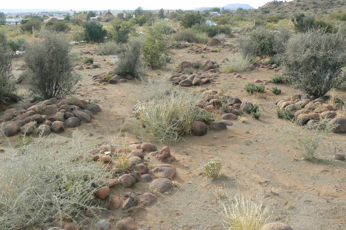 1. Petrusville Begraafplaas oorsig