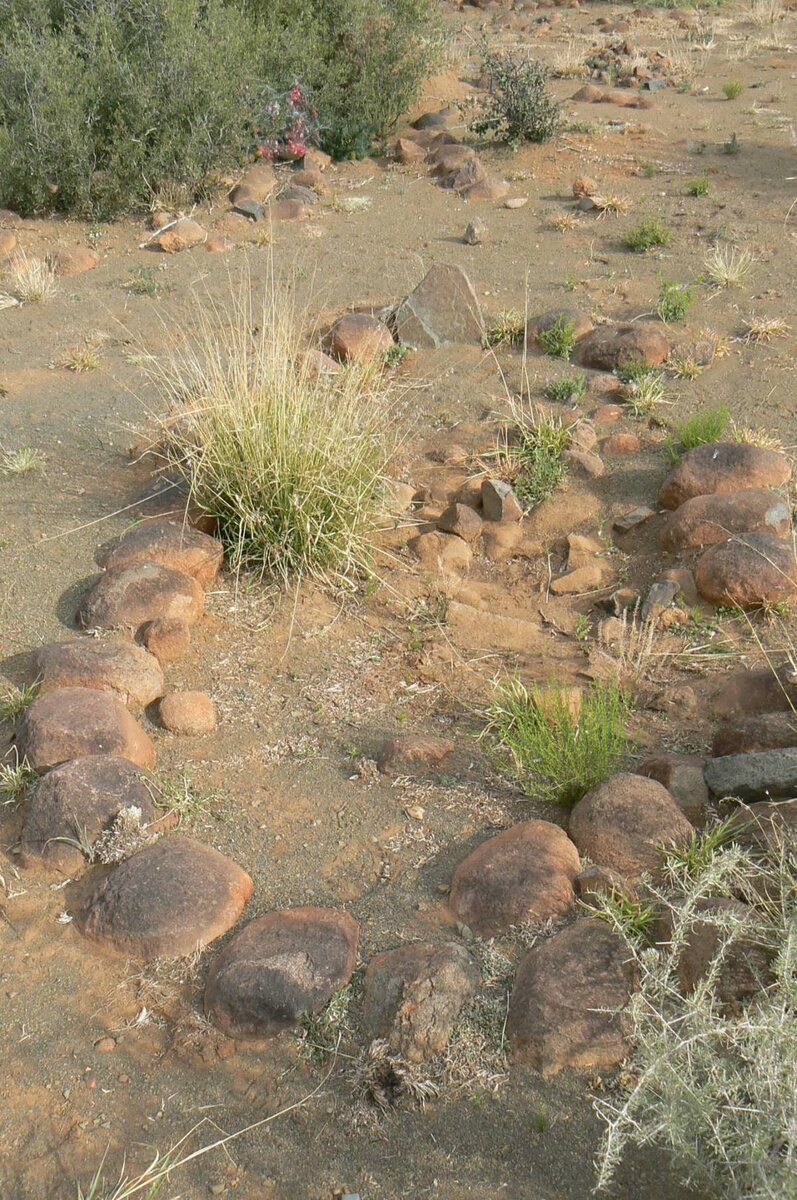 2. Petrusville Begraafplaas oorsig