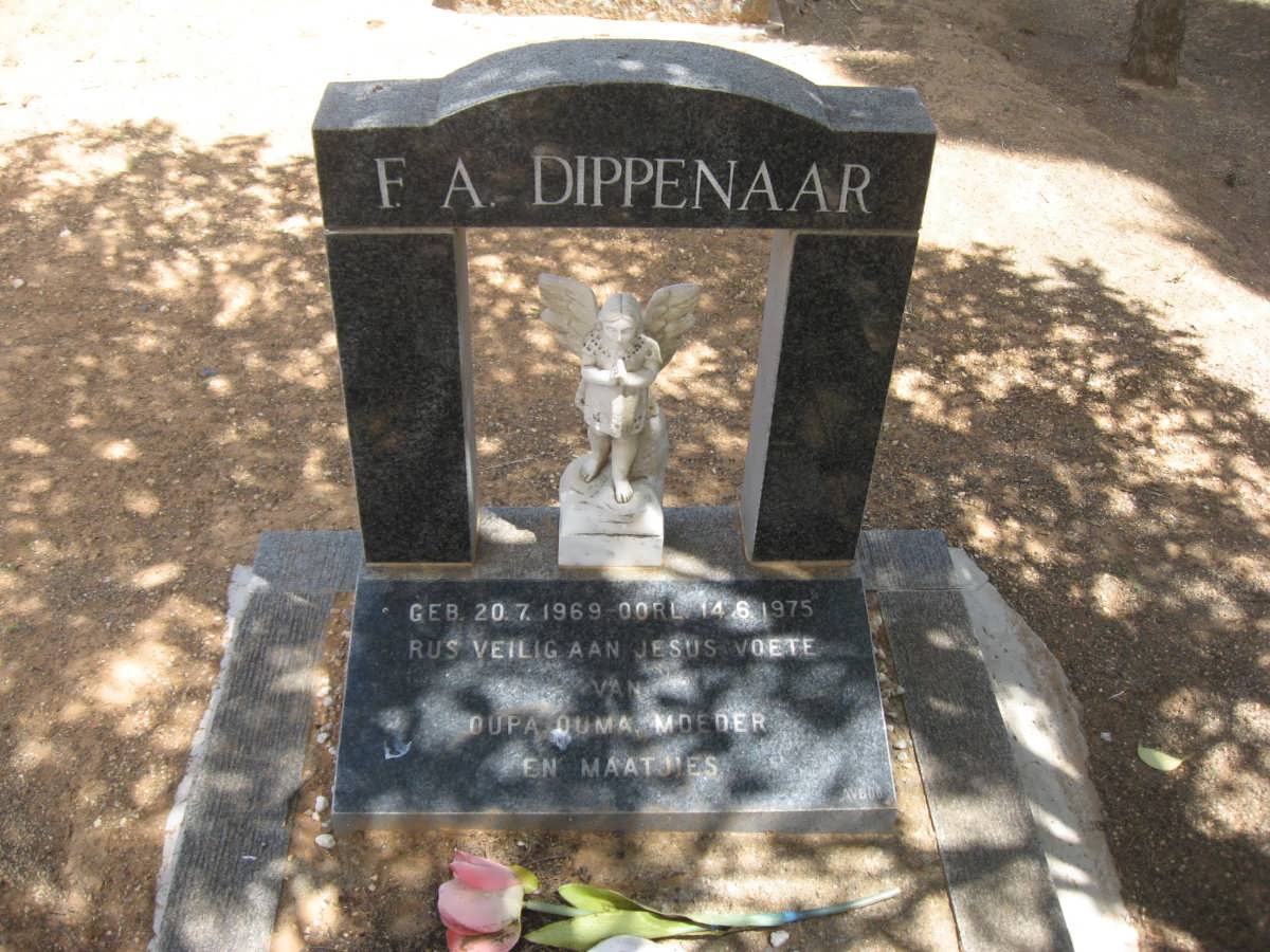 DIPPENAAR F.A. 1969-1975