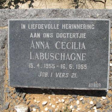 LABUSCHAGNE Anna Cecilia 1955-1955