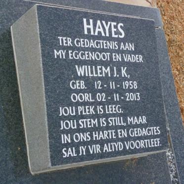 HAYES Willem J.K. 1958-2013