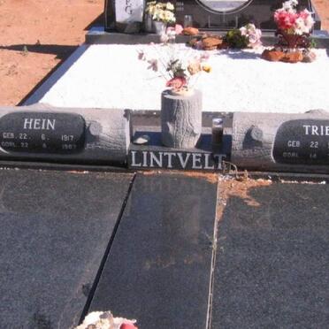 LINTVELT Hein 1917-1987 &amp; Trien 1920-1996