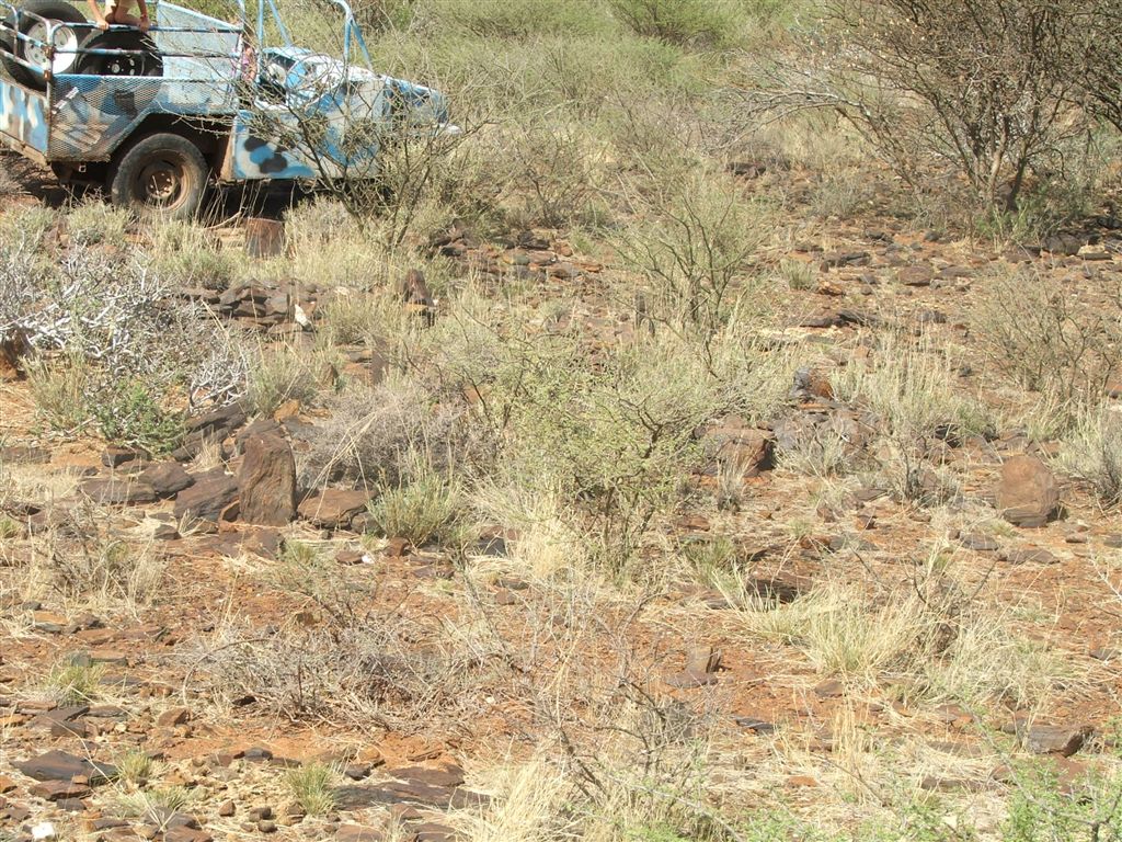 1. Overview on gravesite 