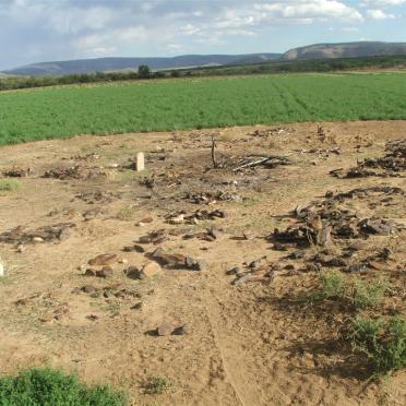 Northern Cape, PRIESKA district, Koegas, Rietfontein 11_4, Donkerhoek farm cemetery
