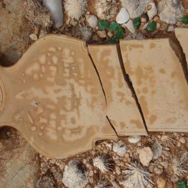 HEEVER  Anna Maria Johanna, v.d. 1933-1934