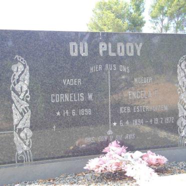 PLOOY Cornelis W., du 1898- &amp; Engela E. ESTERHUIZEN 1894-1972