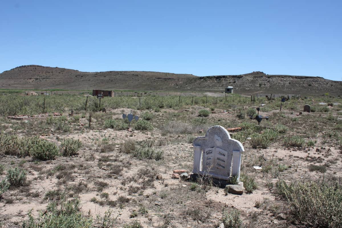 1. Oorsig / Overview