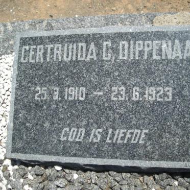 DIPPENAAR Gertruida C. 1910-1923