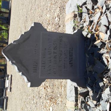 JAARSVELD Jacoba, van 1859-1948