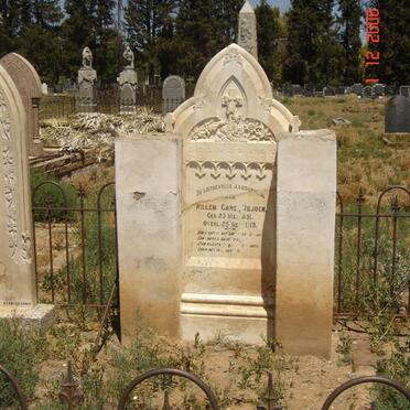 VILJOEN Willem Carel 1851-1913